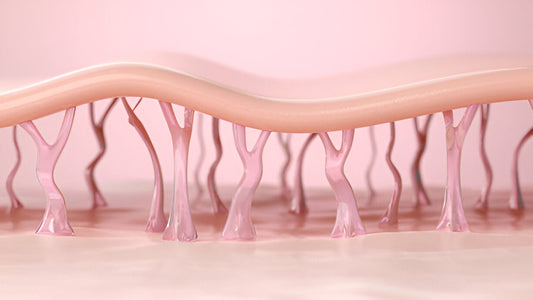 Hyaluronsäure auf Japanisch und Koreanisch: Mehr als Hydratation - das Geheimnis der unterschiedlichen Größen-Wonder Skin