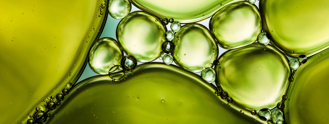Fermentierte Kosmetik Kollektion | Wonder Skin Deutschland