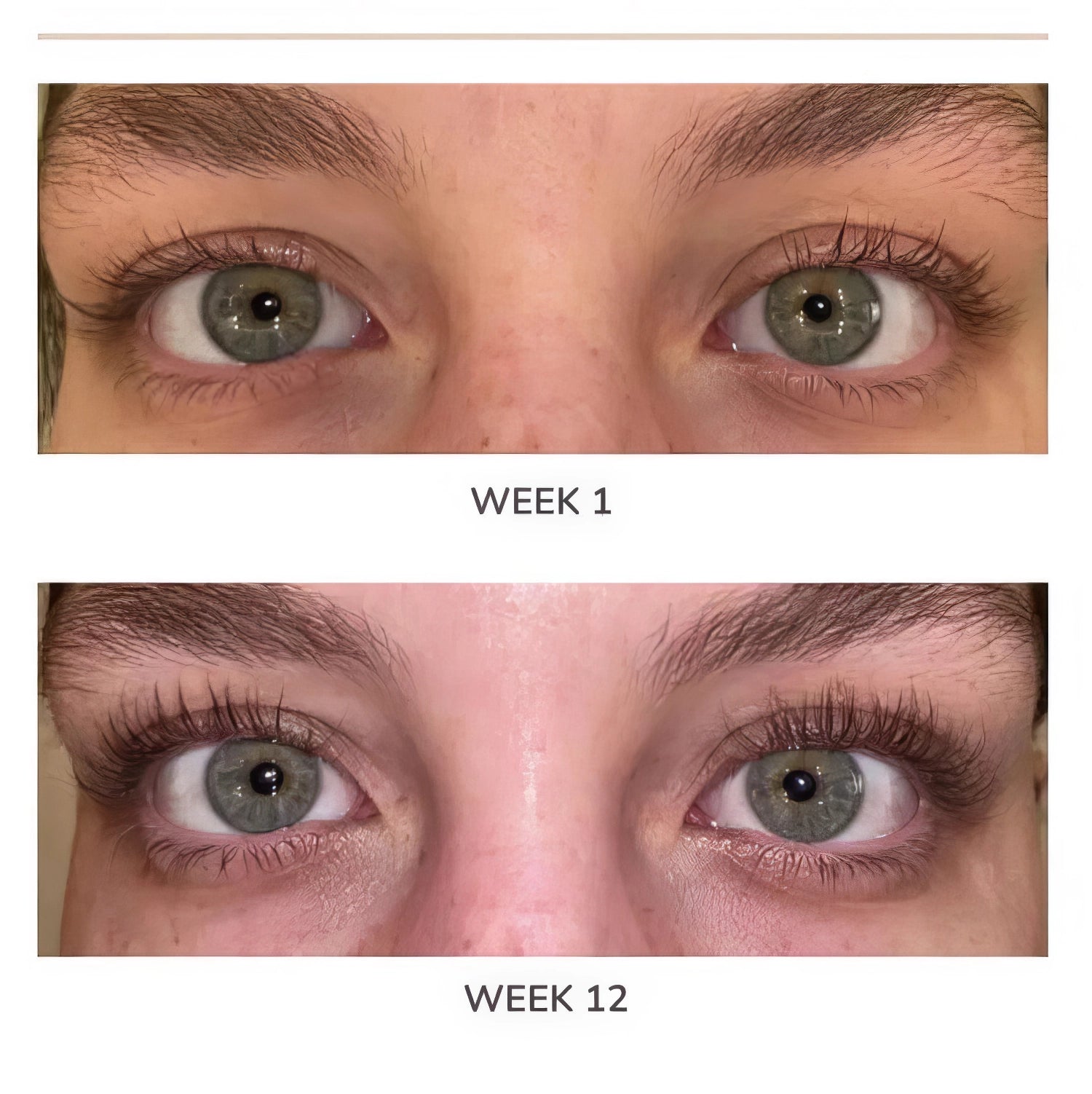 EMANI Lash Builder Serum - 3 ml-Wonder Skin